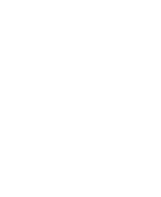 Logo de ANES